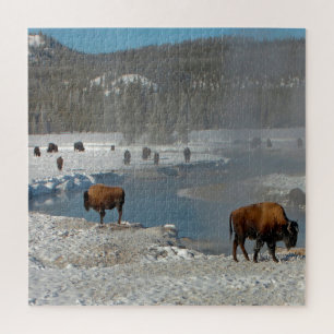 Wir Liebe Bison Wyoming. Puzzle