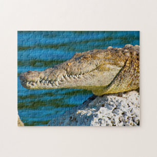 Wir Liebe Gatoren in Florida Puzzle