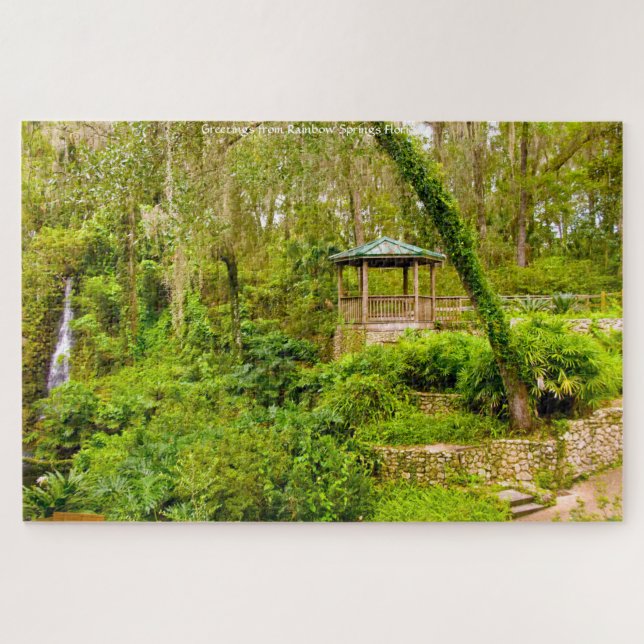 Wir Liebe Regenbogenfedern in Florida Jigsaw Puzzl Puzzle (Horizontal)