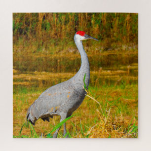 Wir Liebe Sandhill Cranes in Florida Puzzle