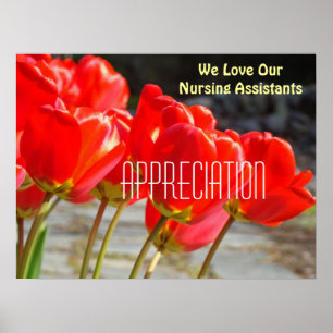 Wir Liebe unsere Krankenpfleger-Plakatwerbung Poster