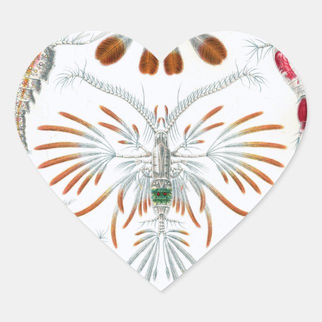 Wir Liebe wissenschaftliche Illustrationskleber Herz-Aufkleber (Vorderseite)