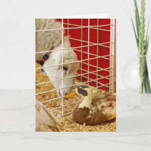 Wir machen ein merkwürdiges Paar... Feiertagskarte