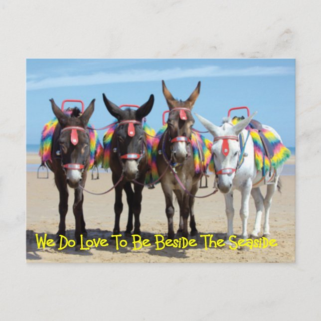 Wir machen Liebe, neben den Donkey-Touren am Meer  Postkarte (Vorderseite)