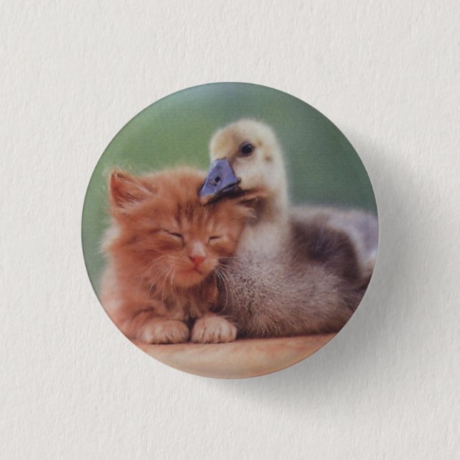 Wir mag man sich! button (Vorderseite)