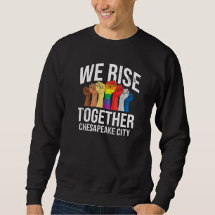 Wir sammeln Chesapeake City Lgbtq Virginia Sweatshirt