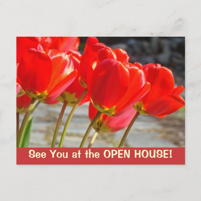 Wir sehen uns im OPEN HOUSE! Postkarten Tulip Blum (Vorderseite)