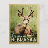 Wir sehen uns in Nebraska - Stag Dei Wildlife