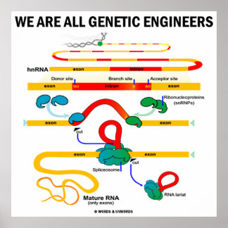 Wir sind alle Gentechniker (Gene Splicing) Poster