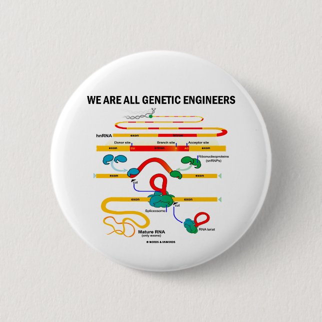 Wir sind alle Gentechniker (RNA Splicing) Button (Vorderseite)