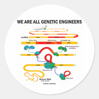 Wir sind alle Gentechniker (RNA Splicing) Runder Aufkleber