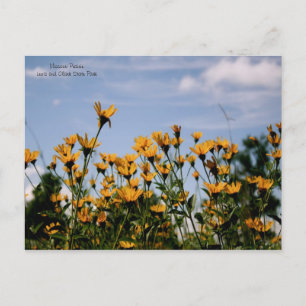 Wir sind die Prairie, Missouri Prairie Postkarte
