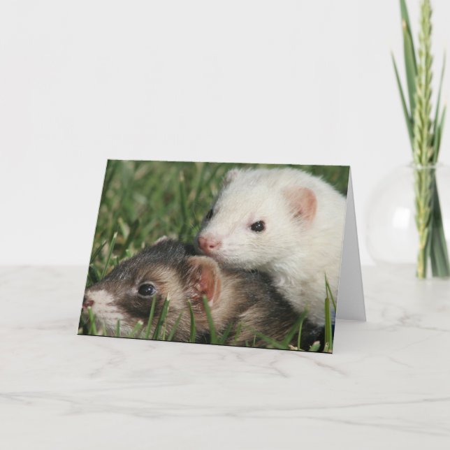 Wir sind Freunde. Sleepy Friends Ferrets Feiertagskarte (Vorderseite)