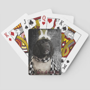 Wir sind hier alle verrückt und spielen Karten Spielkarten