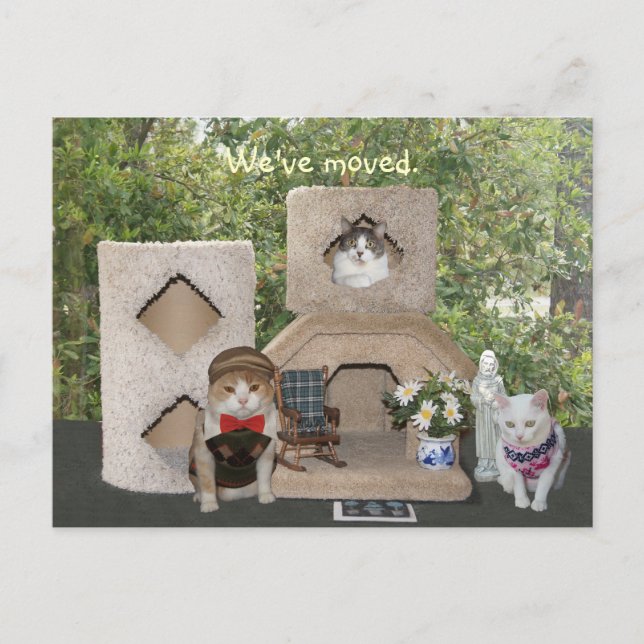 Wir sind in ein größeres Haus umgezogen Ankündigungspostkarte (Vorderseite)