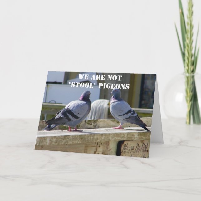 WIR SIND KEINE STOOLPIGEONEN KARTE (Vorderseite)