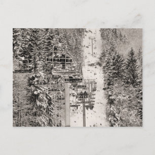 Wir sind Lift Above The Pine Trees Postkarte