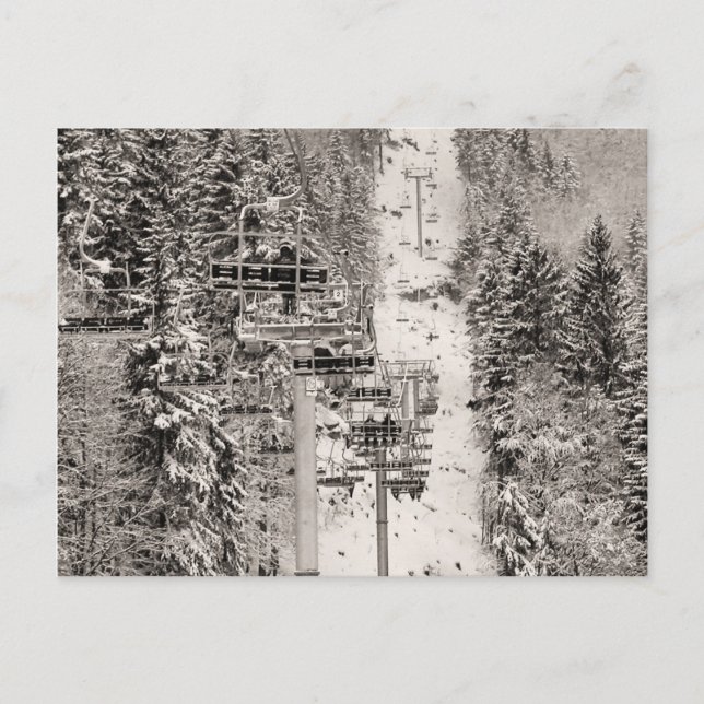 Wir sind Lift Above The Pine Trees Postkarte (Vorderseite)