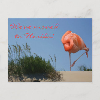 Wir sind nach Florida gezogen! Beach Flamingo Post Ankündigungspostkarte