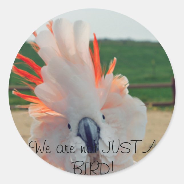 Wir sind nicht nur eine VÖGEL! Runder Aufkleber (Vorderseite)