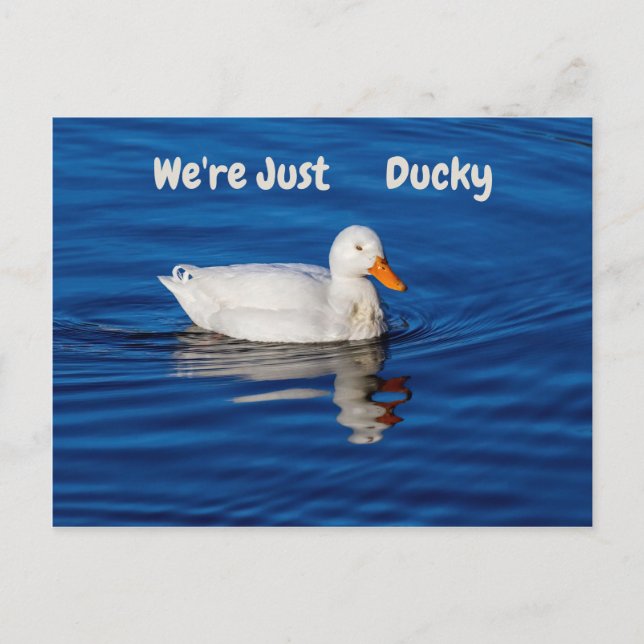 Wir sind nur Ducky Postkarte (Vorderseite)