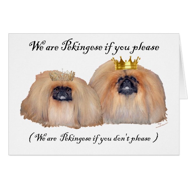 Wir sind Pekingese (Vorderseite (Horizontal))
