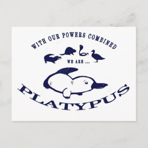 Wir sind Platypus Postkarte