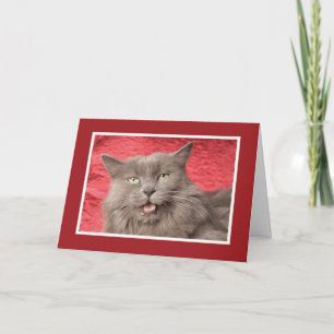 Wir sind Purrfect für besonders angefertigtes Feiertagskarte