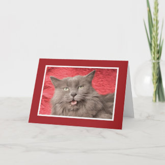 Wir sind Purrfect für besonders angefertigtes Feiertagskarte
