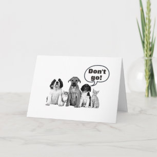 "WIR SIND SO SORRY" VERLASSEND / WIR WERDEN IHNEN  KARTE