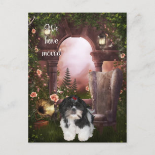"Wir sind umgezogen" Shih Tzu Postkarte