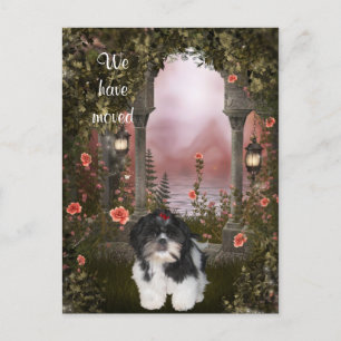 "Wir sind umgezogen" Shih Tzu Postkarte