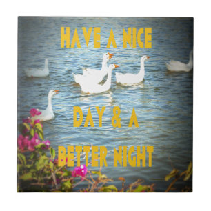 Wir verließ unseren Kunden immer zufrieden und zuf Fliese