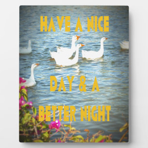 Wir verließ unseren Kunden immer zufrieden und zuf Fotoplatte