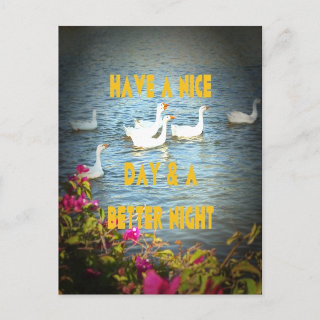 Wir verließ unseren Kunden immer zufrieden und zuf Postkarte (Vorderseite)