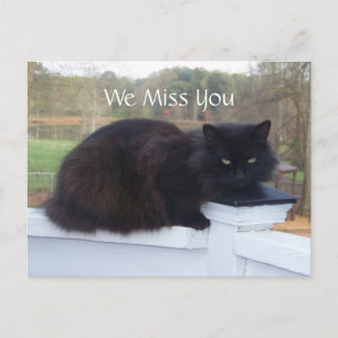 Wir vermissen dich Kitty Postcard Postkarte