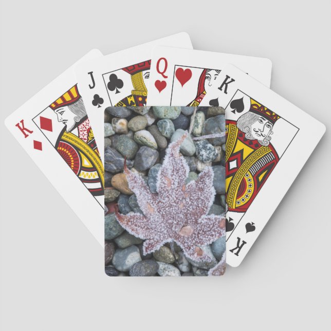 Wir, Wa, Bainbridge Island. Frühmorgenfrost 2 Spielkarten (Rückseite)