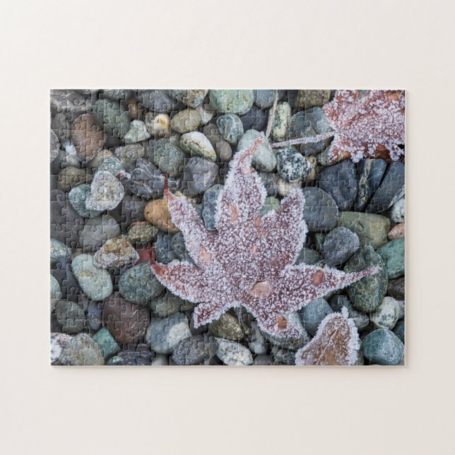 Wir, Wa, Bainbridge Island. Frühmorgens Frost 2 Puzzle (Horizontal)