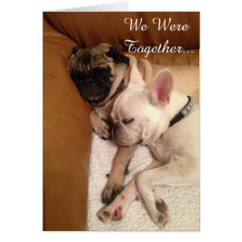 Wir waren zusammen…