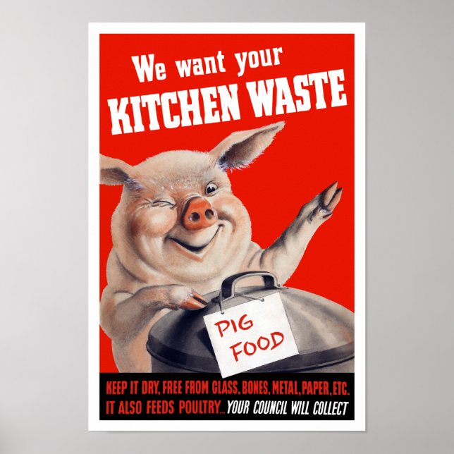 Wir Wollte Ihre Küchenabfälle Schweinefleisch — Zw Poster (Vorne)