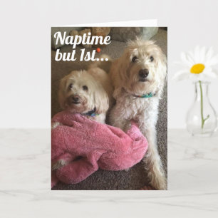 WIR WOLLTE "SIE", UM EINE SEHR GLÜCKLICHE GEBURTSK KARTE