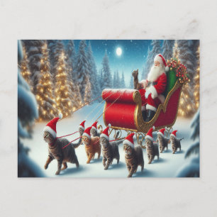 Wir wünschen frohe Weihnachten - O23