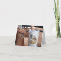 **WIR** WÜNSCHEN **YOU** ZUM BESTEN GEBURTSTAG JE!