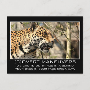 Wir würden nie etwas vor Ihnen verbergen Postkarte