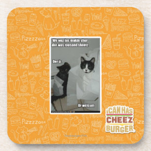 Wir wuz jus makin sur untersetzer