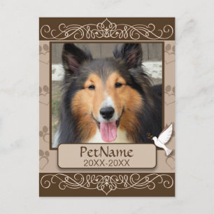 Wirbel für braune Calligraph- - Beileid für Hausti Postkarte