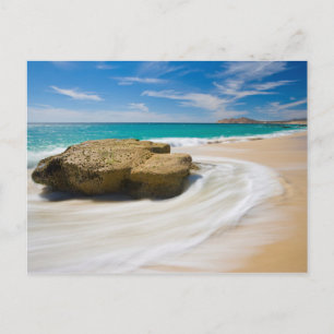 Wirbel mit Meerestide am Strand Postkarte