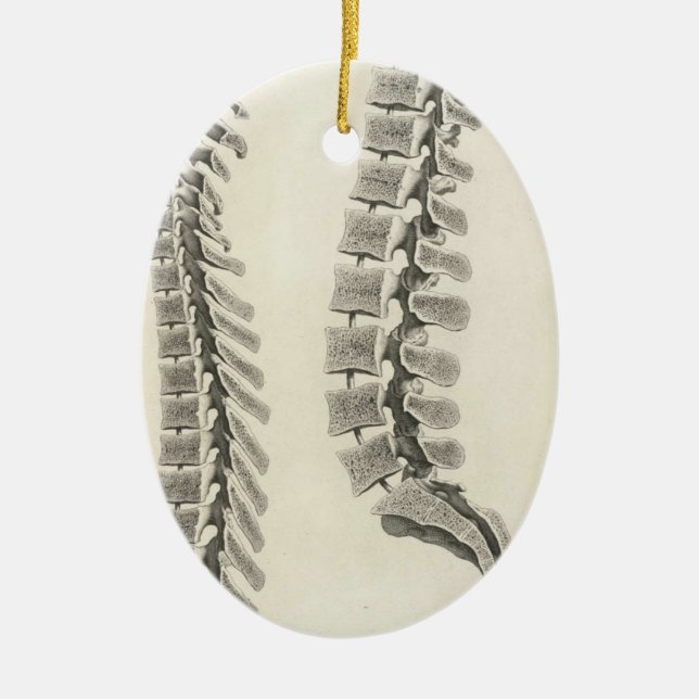 Wirbel-Zeichnen Keramik Ornament (Vorne)