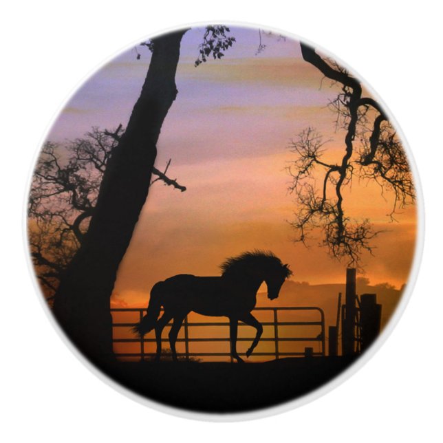 Wirbelknöpfe Keramikknauf (Vorderseite)