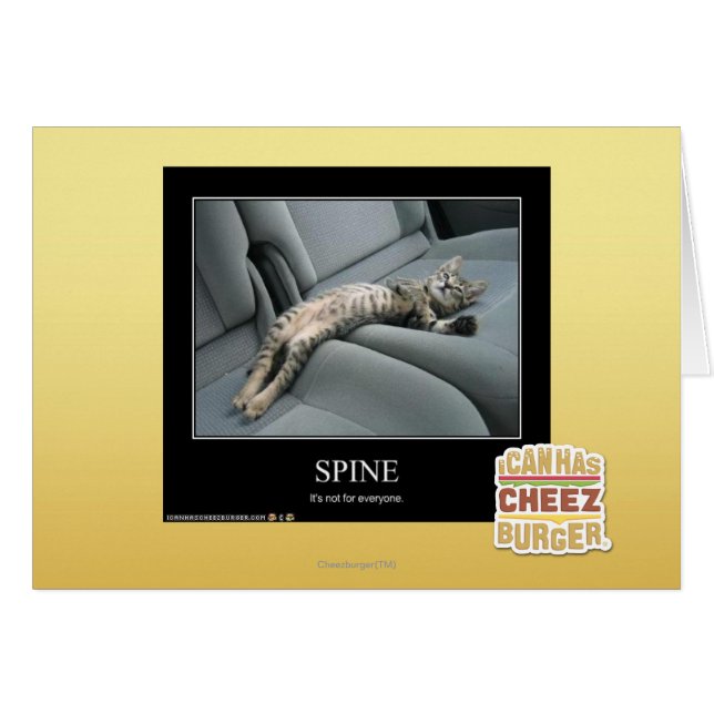 Wirbelsäule (Vorderseite (Horizontal))